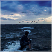 The Midnight Stories