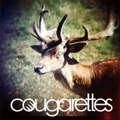 Cougarettes