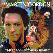 The Baboon In The Basement by Martin Gordon