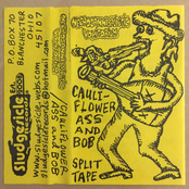 Necrocannibalistic Vomitorium / Cauliflower Ass And Bob