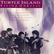 Tremors by Turtle Island String Quartet