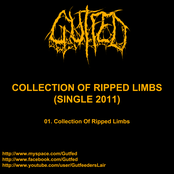 Collection Of Ripped Limbs (Single 2011)