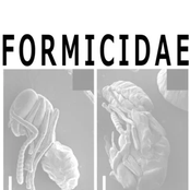 Exo-Skeletal Collection Pack 2016