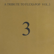 A Tribute To Flexi-Pop Vol. 3
