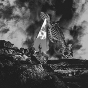 Monty: Hit The Lights