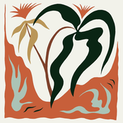 Drying Leaves on a Line