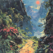 Selva
