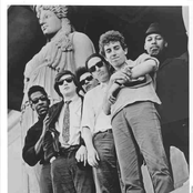 paul butterfield