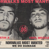 norwalks most wanted
