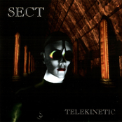 Neuronautics by Sect