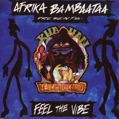 Feel The Vibe