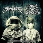 Begetters of Fear And Ruin