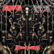 Grog / Roadside Burial / Pussyvibes