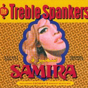 Ultra Wave by The Treble Spankers