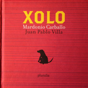 Xolo