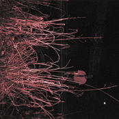 Your Dinner Is Ready