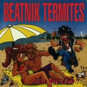 Voice On The Radio by Beatnik Termites
