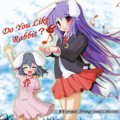 Do You Like Rabbit ？