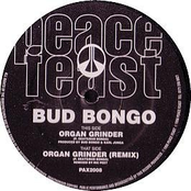 bud bongo