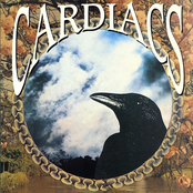 No Bright Side by Cardiacs