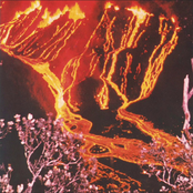 Urban Monogamy - Single