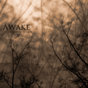 Awake