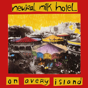 Neutral Milk Hotel: On Avery Island