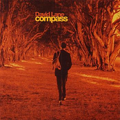 Compass by David Lane