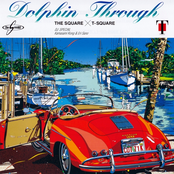 Dolphin Through