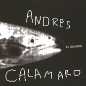 Rumbo Errado by Andrés Calamaro