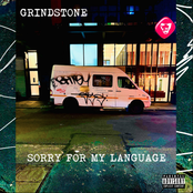 SORRY FOR MY LANGUAGE