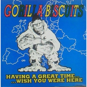 New Song by Gorilla Biscuits