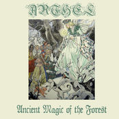 Ancient Magic of the Forest
