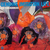 Genuine Imitation Life