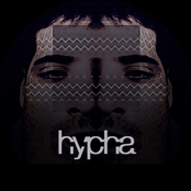 Hypha