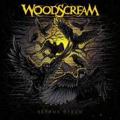 Чёрные птицы