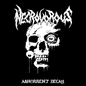 necrovorous / meathole infection