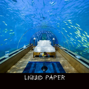 liquid paper experience