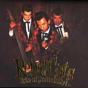 Rebel Cats: Esto Es Rockabilly!