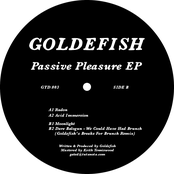 Passive Pleasure EP