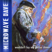 I Want My Rib Back by Microwave Dave & The Nukes