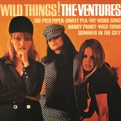 Wild Child by The Ventures