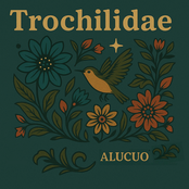 Trochilidae
