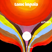 Skeleton Tiger by Tame Impala