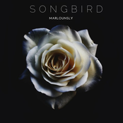 Songbird