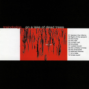 On a Lake of Dead Trees