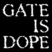 gate is dope