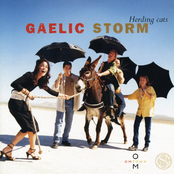 After Hours At Mcgann's by Gaelic Storm