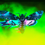 Dissection (Harbiter Remix)