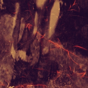 Miss Terra Bates / Crepuscular Entity